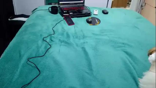Image 10 of laylabrasil Stream on Chaturbate on 10 days ago