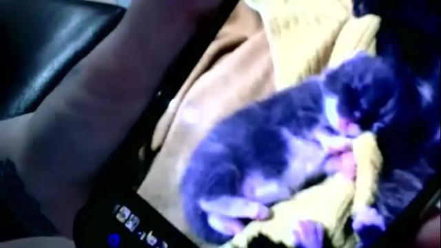 Thumbnail 3, laylakills's Stream at Chaturbate, 3 days ago