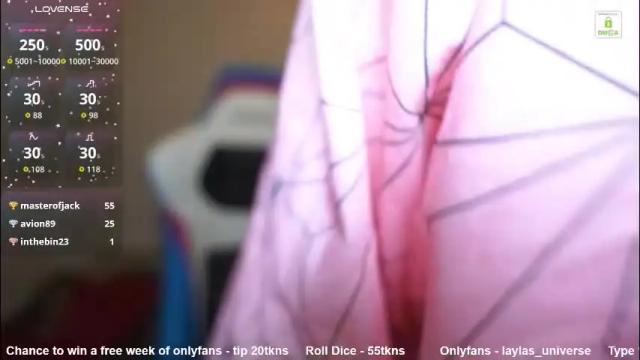 Image 3 of laylas_universe Stream on Chaturbate on 1 month ago