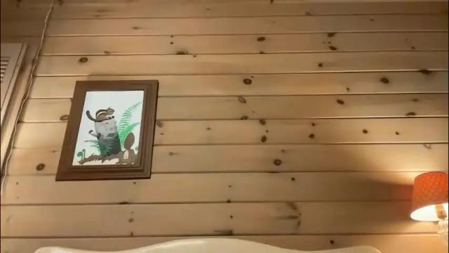 Thumbnail 3, leahwilde's Stream at Chaturbate, 1 month ago