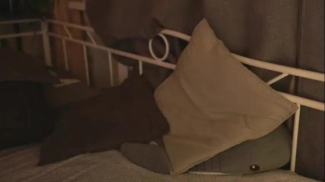 Image 10 of leekta Stream on Chaturbate on 21 days ago