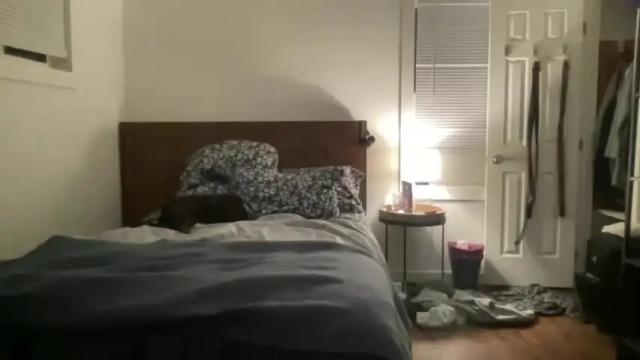 Image 3 of legallybrun91 Stream on Chaturbate on 15 months ago