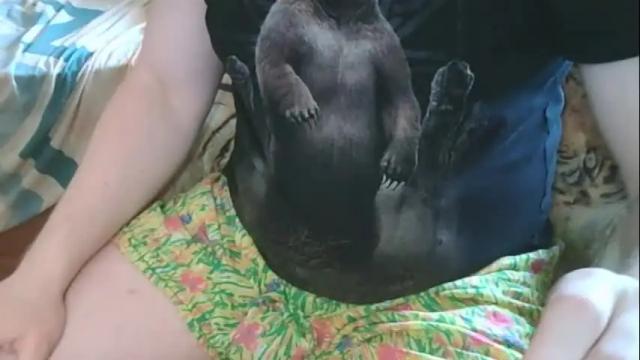 Image 3 of leila472952 Stream on Chaturbate on 2 months ago