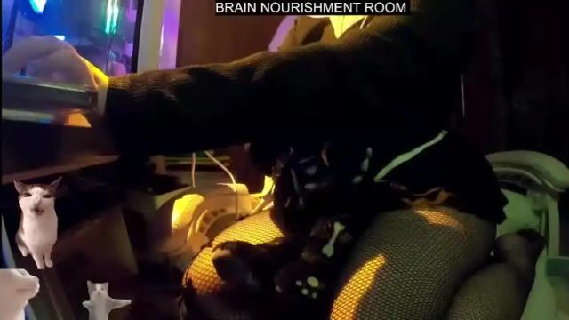 Image 4 of lemonylemon679121 Stream on Chaturbate on 21 months ago