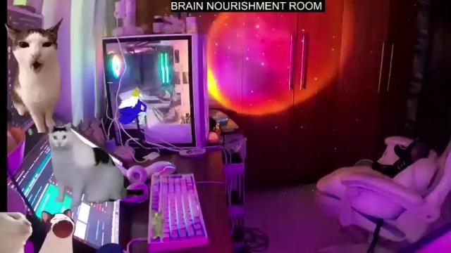 Image 8 of lemonylemon679121 Stream on Chaturbate on 20 months ago