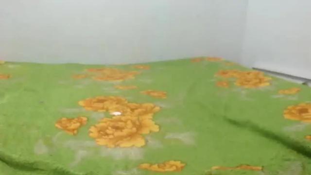 Image 8 of lenai_xxx Stream on Chaturbate on 20 months ago