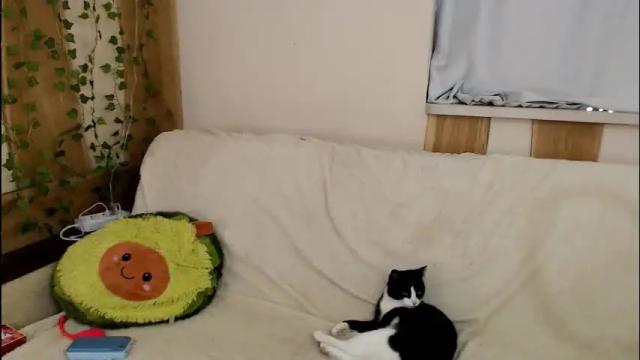 Image 12 of leo_and_lori Stream on Chaturbate on 3 months ago