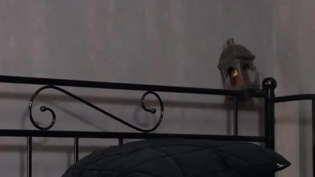Image 11 of letaraz Stream on Chaturbate on 24 months ago