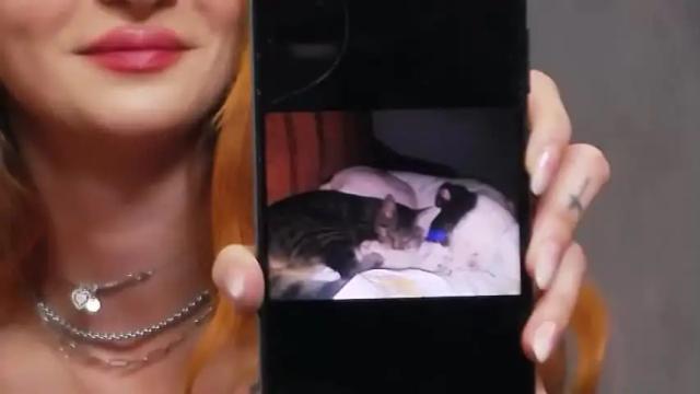 Image 11 of letaraz Stream on Chaturbate on 23 months ago