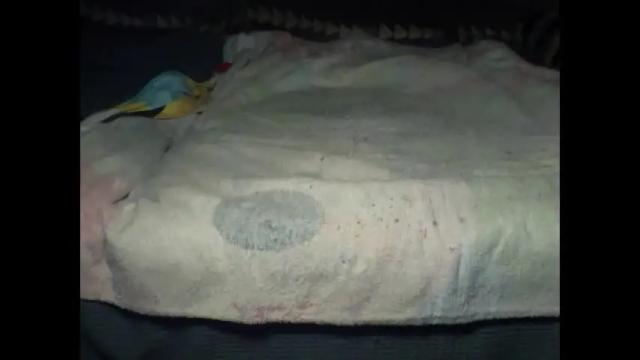 Image 2 of lexcerdex Stream on Chaturbate on 1 month ago