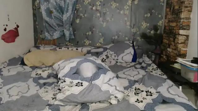 Thumbnail 2, lexi818's Stream at Chaturbate, 1 month ago