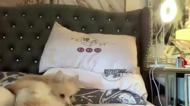 Image 3 of lexiesmith_ Stream on Chaturbate on 1 month ago