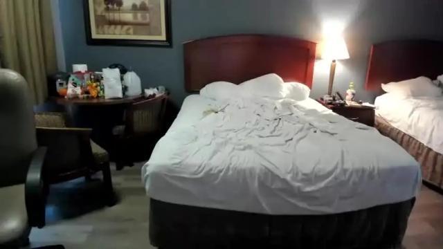 Image 2 of lexyvalentine Stream on Chaturbate on 15 months ago