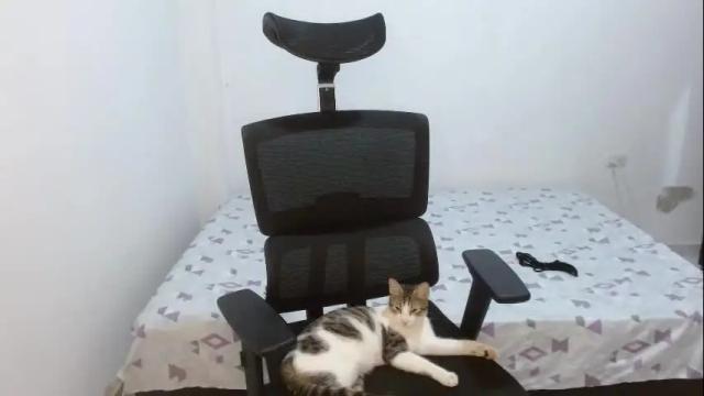 Thumbnail 3, leydy_day's Stream at Chaturbate, 1 month ago