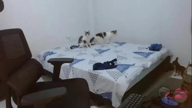 Image 3 of leydy_day Stream on Chaturbate on 3 months ago