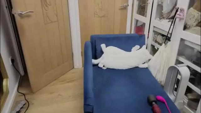 Image 4 of leylaviolet1 Stream on Chaturbate on 1 month ago