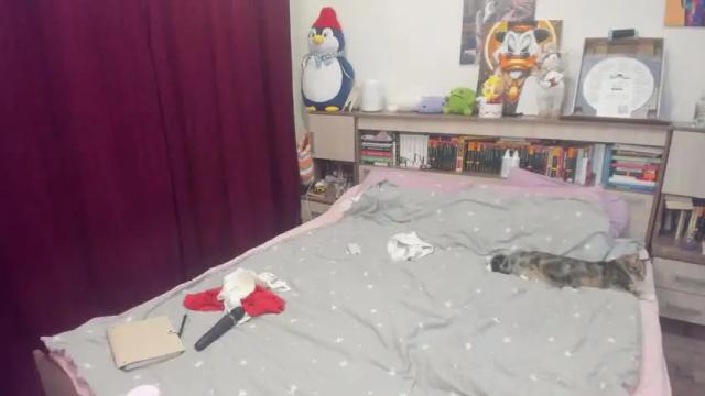 Image 2 of lianamiller88 Stream on Chaturbate on 14 months ago