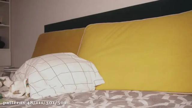 Thumbnail 2, liass_molly's Stream at Chaturbate, 1 day ago