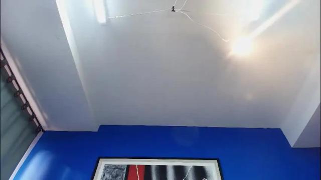 Image 12 of liccy_hall Stream on Chaturbate on 1 month ago