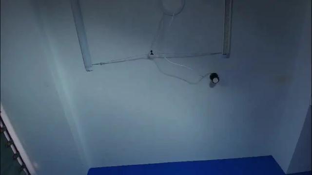 Thumbnail 2, liccy_hall's Stream at Chaturbate, 1 month ago