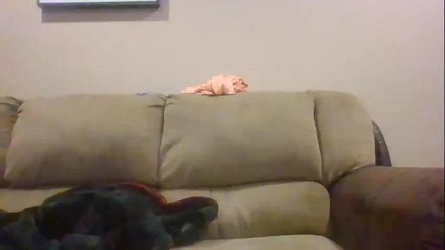Thumbnail 3, lilfreakbbw's Stream at Chaturbate, 22 days ago