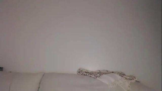 Thumbnail 1, liljbby's Stream at Chaturbate, 11 days ago