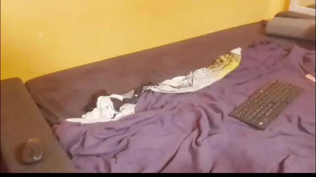 Image 8 of lillysissi Stream on Chaturbate on 1 month ago