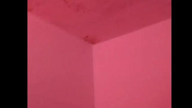Thumbnail 1, lilpalacio's Stream at Chaturbate, 1 month ago