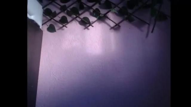 Image 2 of lilpalacio Stream on Chaturbate on 6 months ago