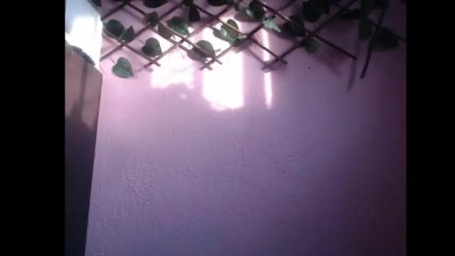 Image 6 of lilpalacio Stream on Chaturbate on 6 months ago