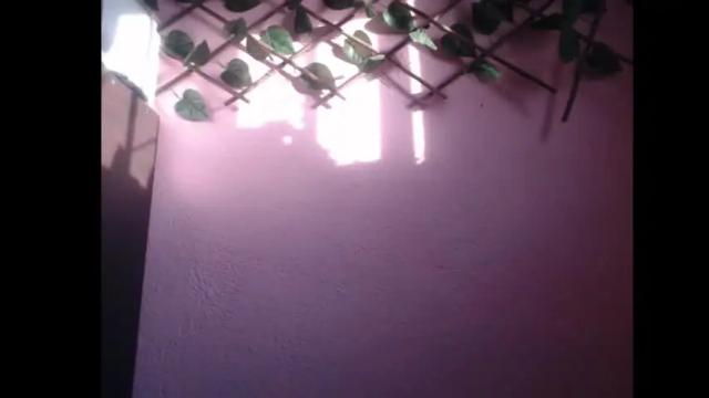 Image 7 of lilpalacio Stream on Chaturbate on 6 months ago