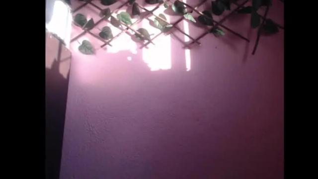 Image 8 of lilpalacio Stream on Chaturbate on 6 months ago