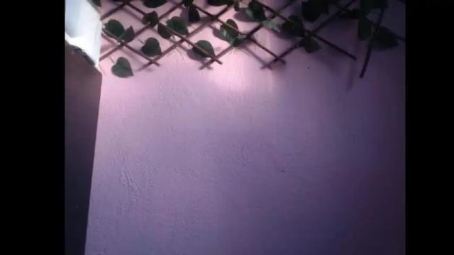 Thumbnail 3, lilpalacio's Stream at Chaturbate, 6 months ago