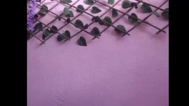 Thumbnail 2, lilpalacio's Stream at Chaturbate, 6 months ago