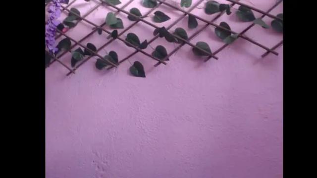 Image 6 of lilpalacio Stream on Chaturbate on 6 months ago