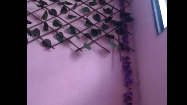 Image 12 of lilpalacio Stream on Chaturbate on 5 months ago