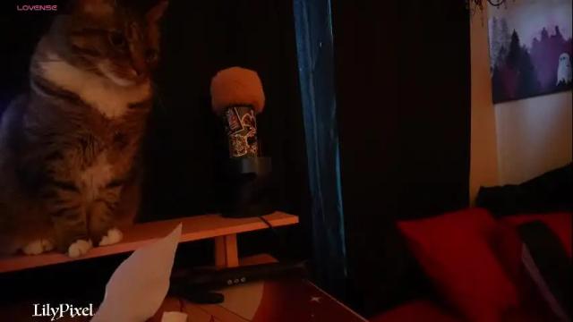 Image 8 of lilypixel Stream on Chaturbate on 7 months ago