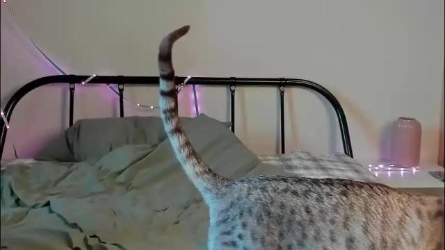 Image 4 of lina_n_kitty Stream on Chaturbate on 1 month ago