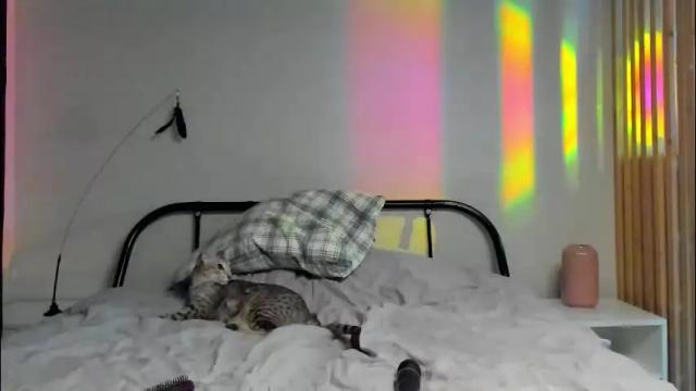 Image 2 of lina_n_kitty Stream on Chaturbate on 1 month ago