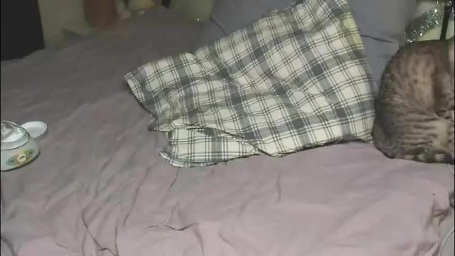 Image 11 of lina_n_kitty Stream on Chaturbate on 28 days ago