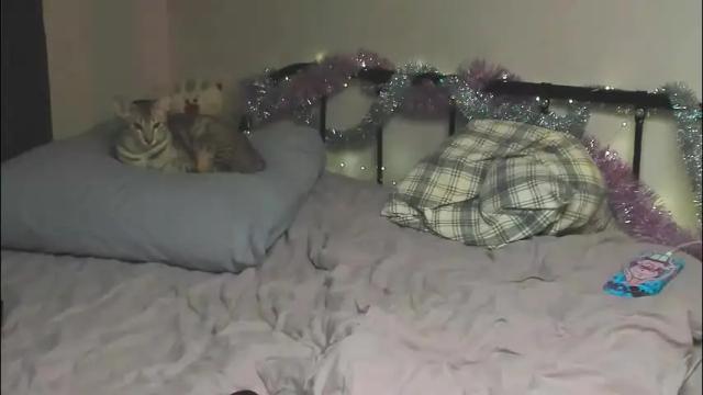 Image 4 of lina_n_kitty Stream on Chaturbate on 28 days ago