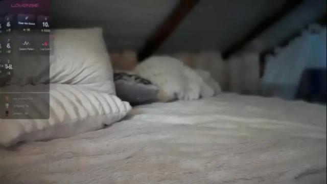Image 4 of lindseylovesit Stream on Chaturbate on 2 months ago