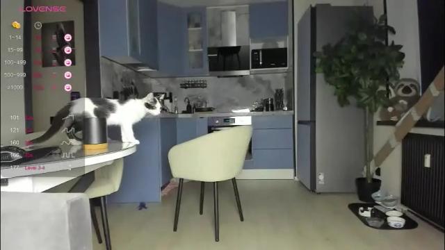 Thumbnail 2, lisa__fox's Stream at Chaturbate, 3 months ago