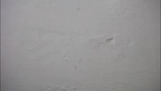 Thumbnail 1, lisa_branch's Stream at Chaturbate, 3 months ago