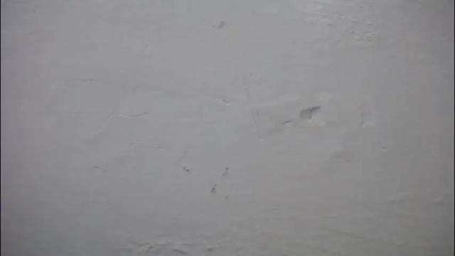 Image 2 of lisa_branch Stream on Chaturbate on 3 months ago