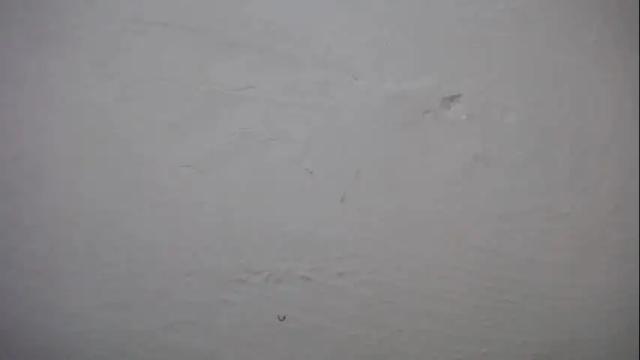 Thumbnail 1, lisa_branch's Stream at Chaturbate, 3 months ago