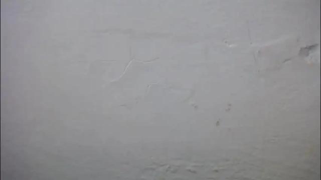 Thumbnail 1, lisa_branch's Stream at Chaturbate, 1 month ago