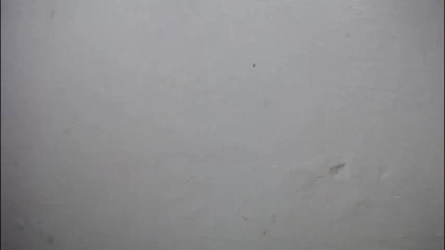 Thumbnail 1, lisa_branch's Stream at Chaturbate, 1 month ago