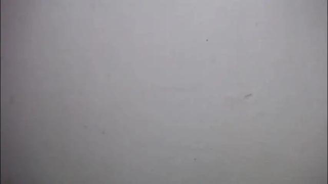 Thumbnail 1, lisa_branch's Stream at Chaturbate, 1 month ago