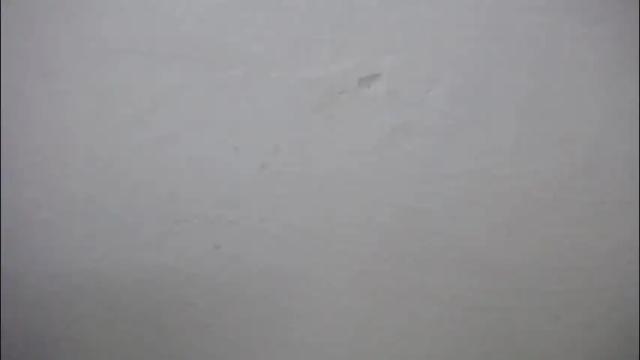 Thumbnail 1, lisa_branch's Stream at Chaturbate, 15 days ago